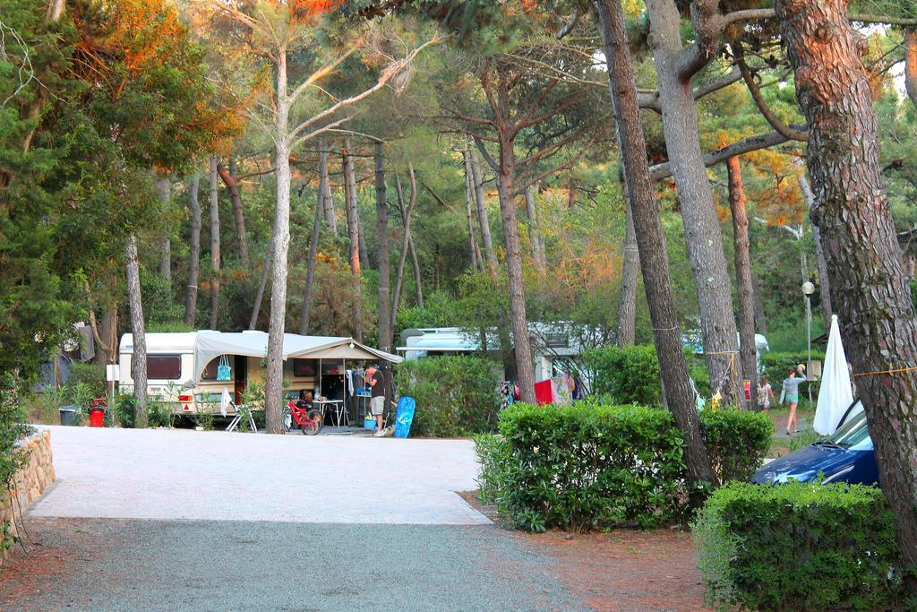 Le Esperidi Camping Ecoresort Marina Di Bibbona Εξωτερικό φωτογραφία