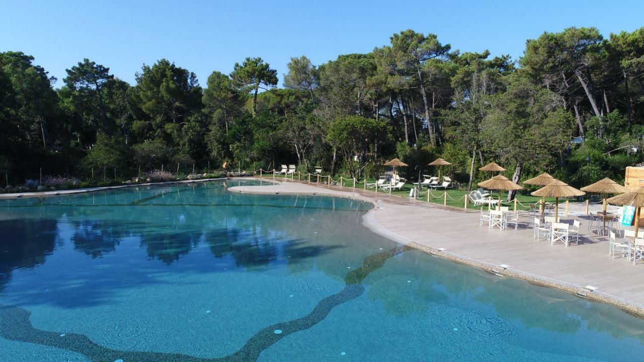 Le Esperidi Camping Ecoresort Marina Di Bibbona Εξωτερικό φωτογραφία